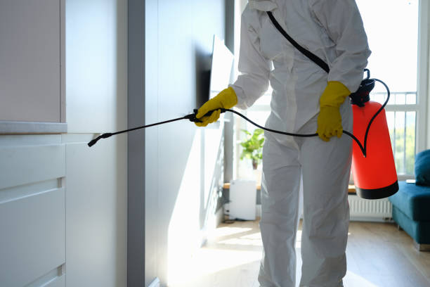 Best Basement Mold Remediation in Parowan, UT