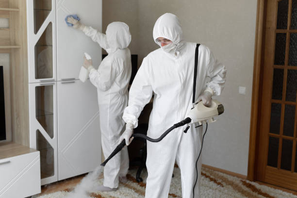 Best Industrial Mold Remediation in Parowan, UT