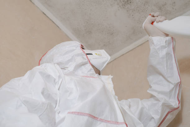 Best Mold Remediation for Schools in Parowan, UT