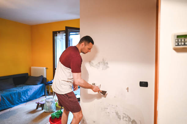 Best Localized Mold Remediation (e.g., coastal areas, humid climates) in Parowan, UT